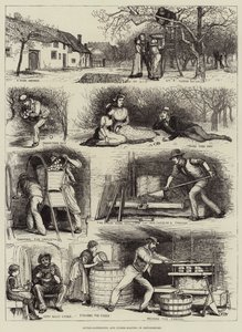 Recolección de manzanas y elaboración de sidra en Devonshire